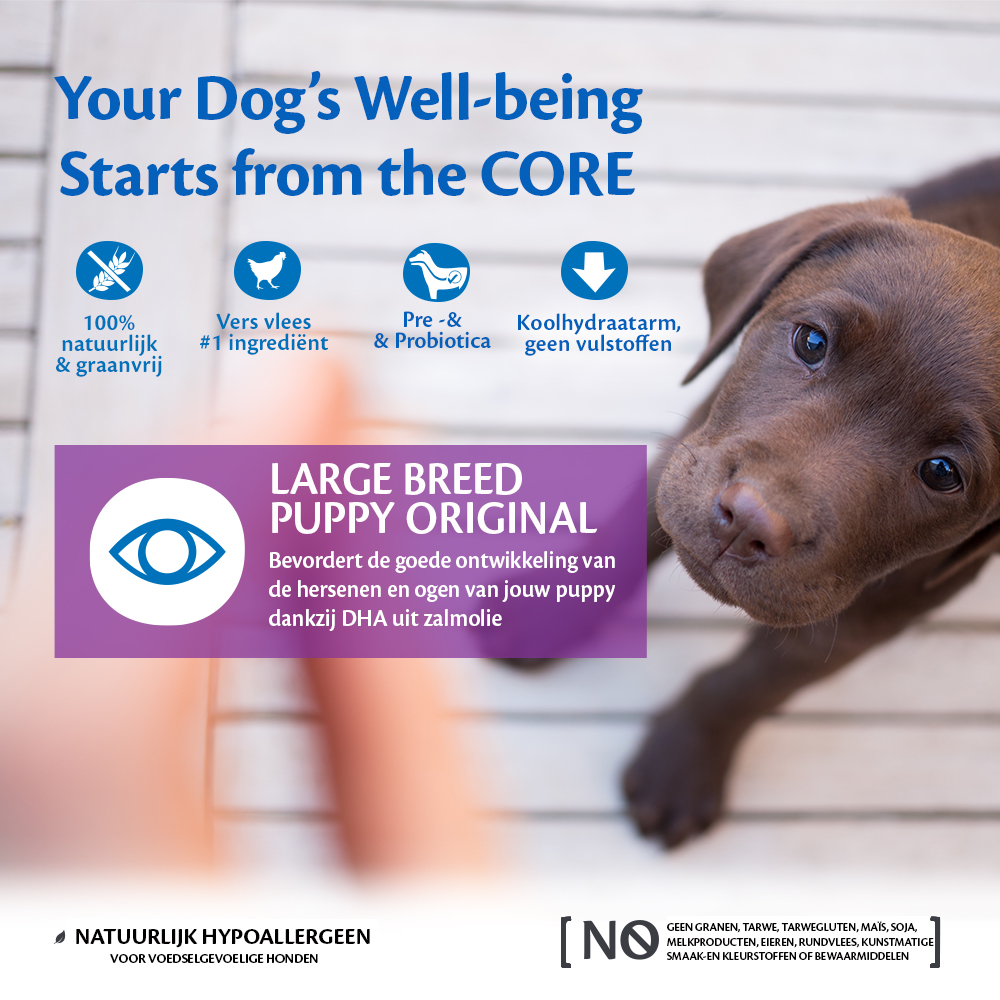 Wellness CORE_E-Com_Benefits Per Product_Large Breed Puppy Original_DUTCH